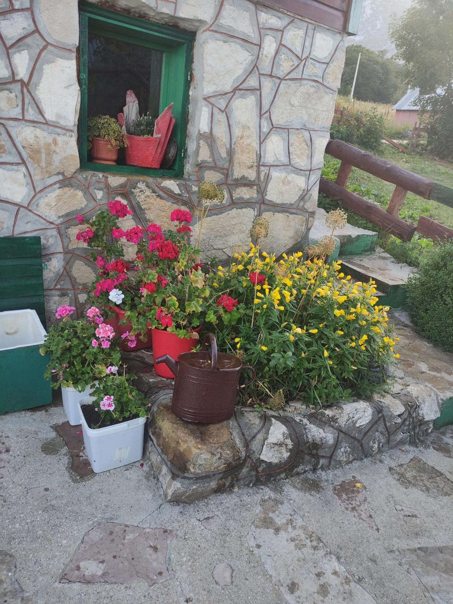 Durmitorske Kolibe Zabljak (Zabljak) Room photo